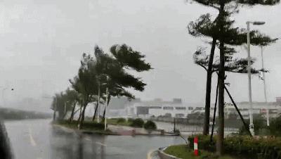 珠海台风动态，风雨过后见彩虹