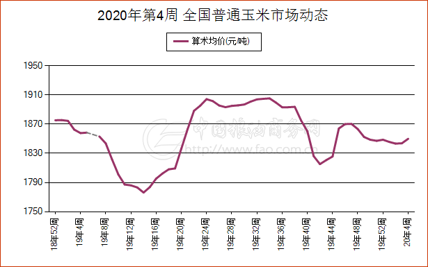 沧州玉米市场价格动态