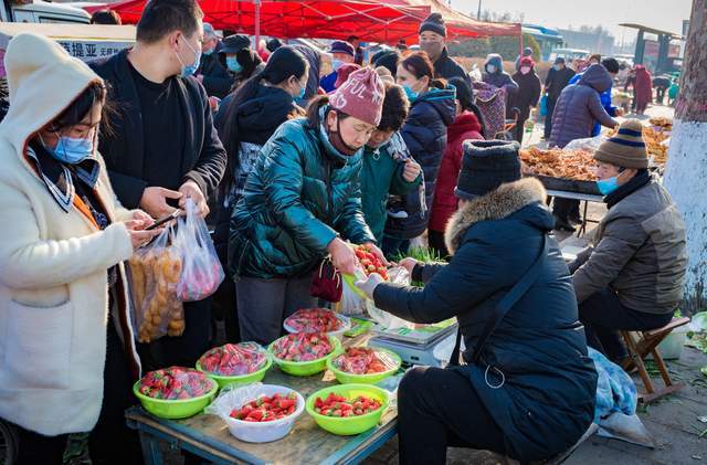 “山东花生饼现时市价”